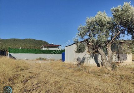 Konut-Müstakil Ev