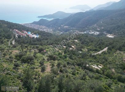 Arsa-Tarla