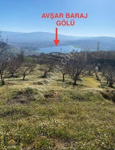 Arsa-Bağ & Bahçe