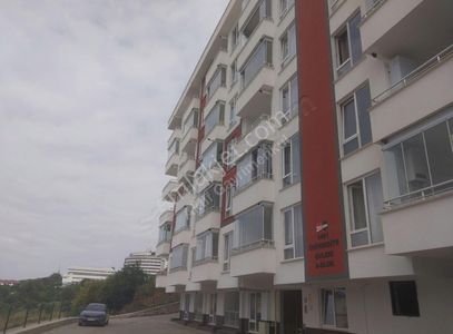 Konut-Daire
