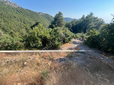 Arsa-Tarla
