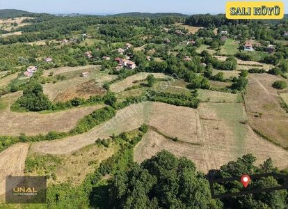 Arsa-Tarla