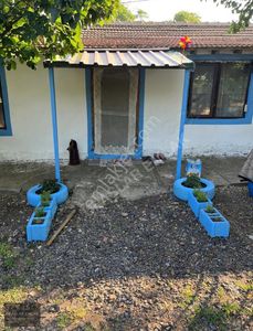 Konut-Müstakil Ev