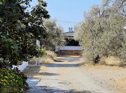 Arsa-Villa İmarlı