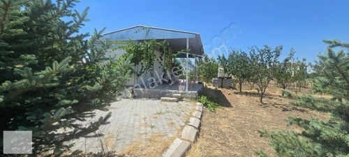 Arsa-Villa İmarlı