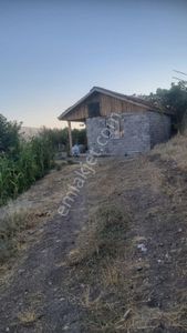 Arsa-Bağ & Bahçe