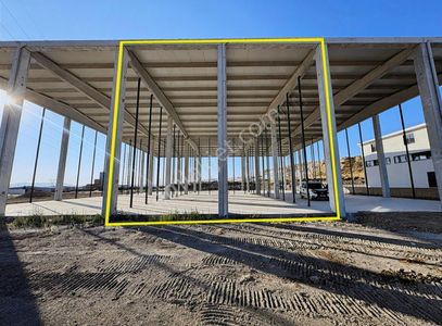 İşyeri-Dükkan & Mağaza