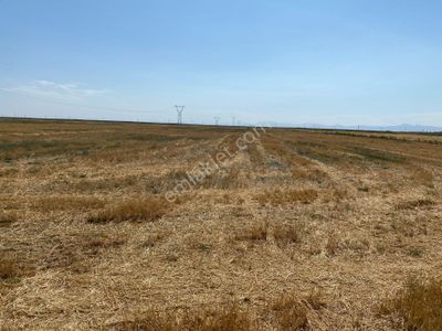 Arsa-Tarla