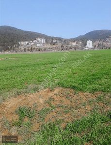 Arsa-Tarla