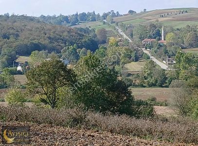 Arsa-Tarla