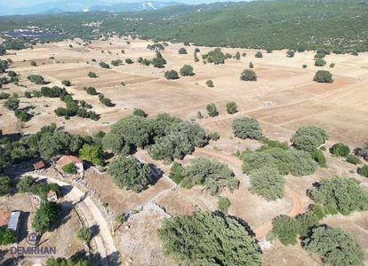 Arsa-Tarla