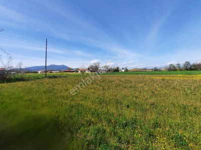 Arsa-Tarla