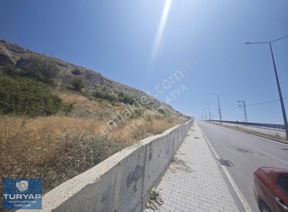 Arsa-Bağ & Bahçe