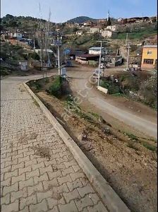 Arsa-Zeytinlik