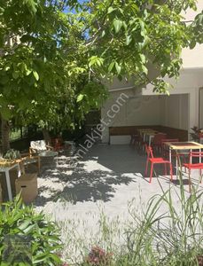 İşyeri-Kafe & Bar