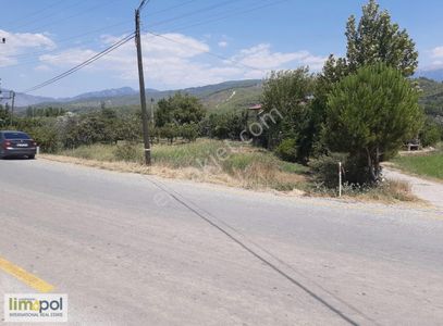 Arsa-Konut İmarlı