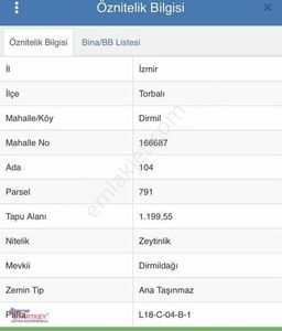Arsa-Zeytinlik