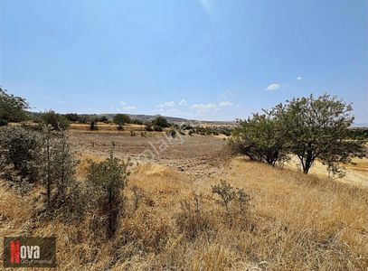 Arsa-Tarla