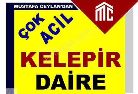 Konut-Daire
