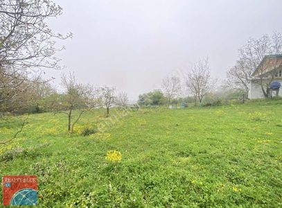 Arsa-Konut İmarlı