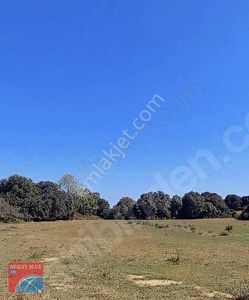 Arsa-Konut İmarlı