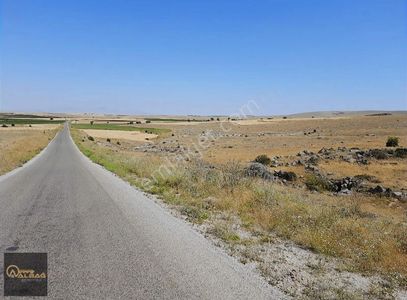 Arsa-Tarla