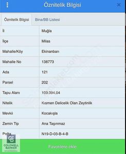 Arsa-Zeytinlik