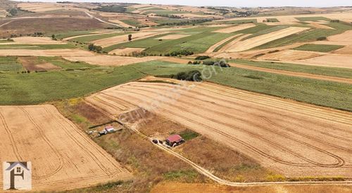 Arsa-Tarla