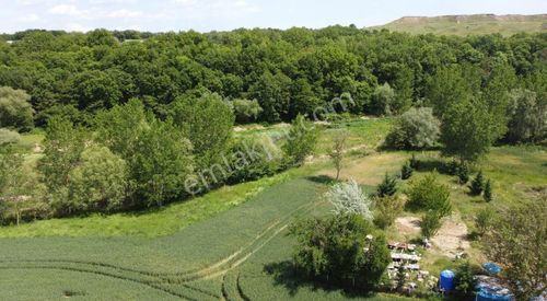 Arsa-Tarla