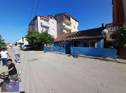 Konut-Müstakil Ev