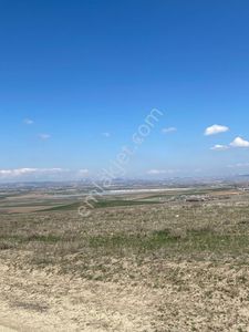 Arsa-Tarla