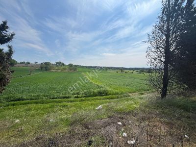 Arsa-Tarla