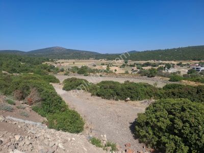 Arsa-Konut İmarlı