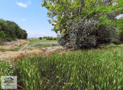 Arsa-Tarla