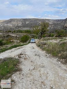 Arsa-Bağ & Bahçe