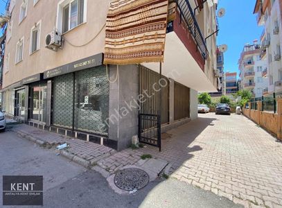 İşyeri-Dükkan & Mağaza