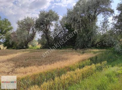 Arsa-Tarla