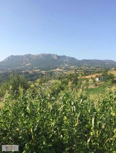 Arsa-Tarla