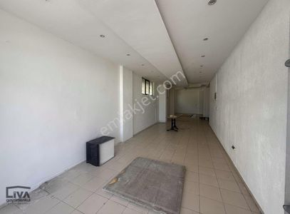 İşyeri-Dükkan & Mağaza