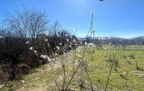 Arsa-Villa İmarlı