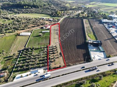 Milas - Bodrum Ana Yola Sıfır Ticari İmar Planında Satılık Arazi