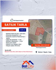 Arsa-Tarla