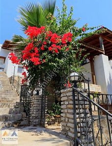 Konut-Villa