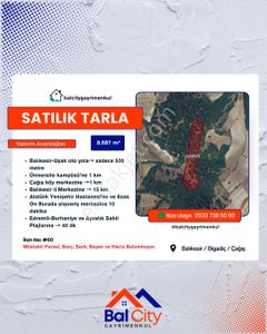 Arsa-Tarla