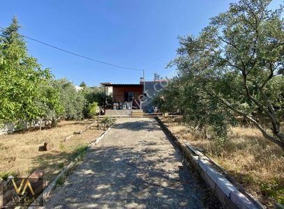 Konut-Villa