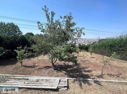 Konut-Müstakil Ev