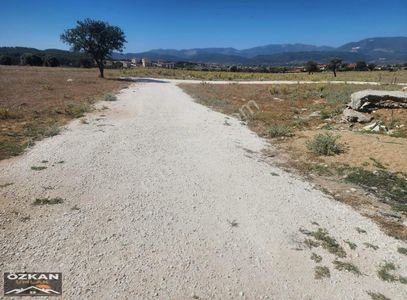 Arsa-Konut İmarlı