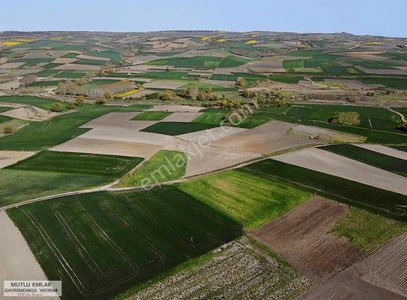 Arsa-Tarla
