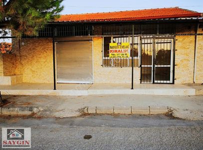 İşyeri-Dükkan & Mağaza