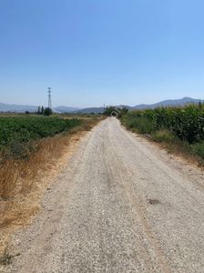 Arsa-Tarla